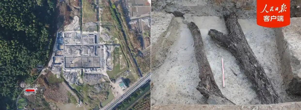 “发现中国最早杨梅古树”等科技考古成果在北京发布